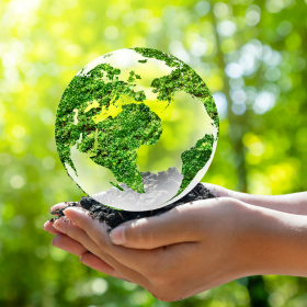 Sustainability Talks